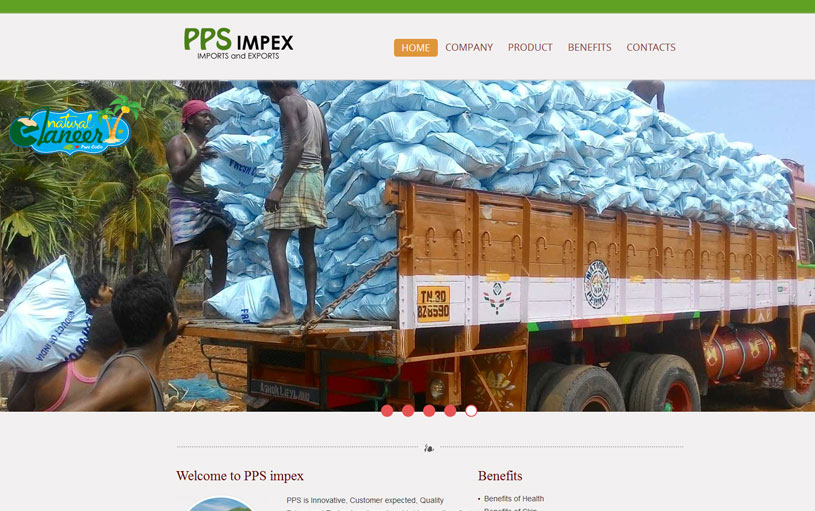 PPS Impex website design